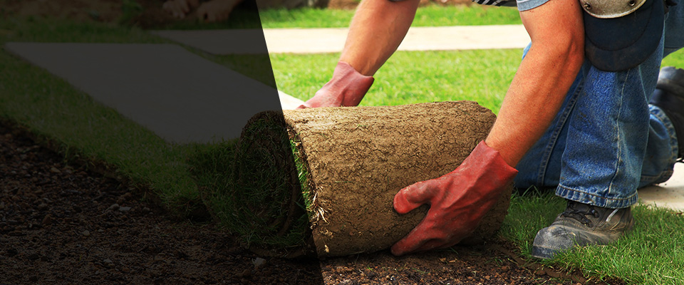 Evans Mills Landscapers